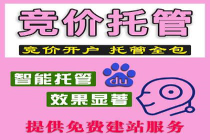 某品牌通过SEM关键词实现品牌推广的实战案例